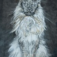 Maine Coon, Drawing graphite, gouache pan pastel and knife on paper 2020 Maud Masselink, framed in vintage black frame, available