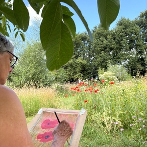 Zomerweek Drimmelen 2025