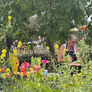 Zomerweek Drimmelen 2025