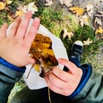 Groep 1/2, Colours in nature, collecting