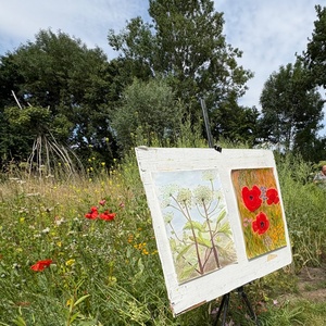 Zomerweek Drimmelen 2025