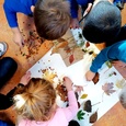 Groep 1/2, Colours in nature